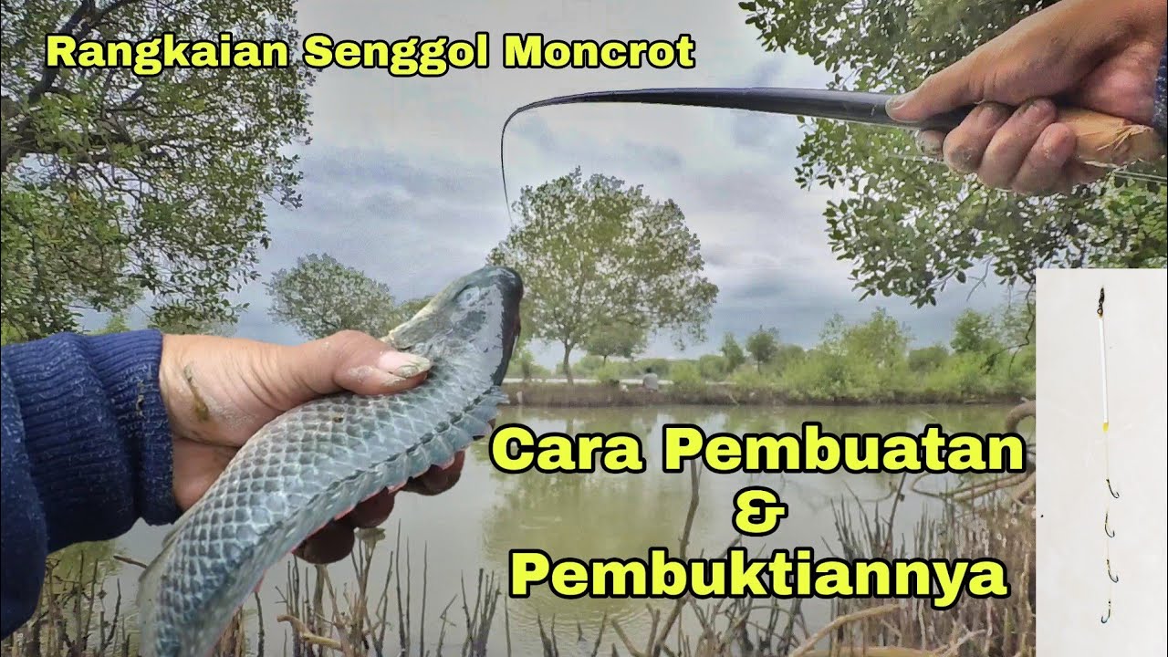 Rangkaian Pancing Nila Belanak Bandeng Mujair Jaminan Senggol Nyantol