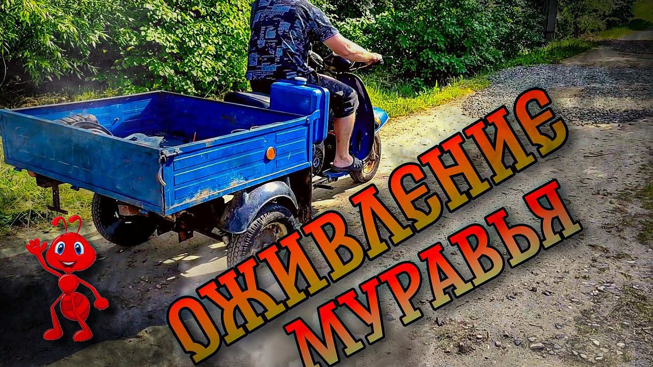 Оживление мотороллер 