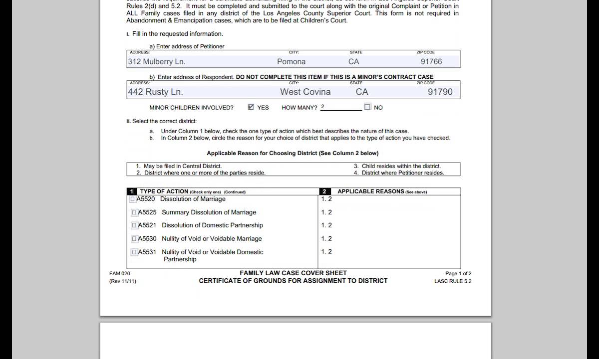 Family Law Case Coversheet (Paternity)