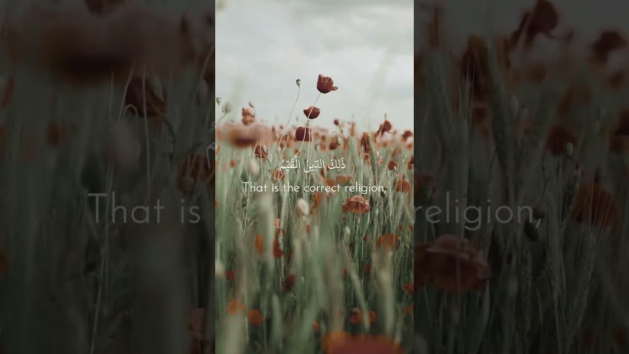 Surah Ar-Rum | 30 - 32 | Muhammad Siddiq Al Minshawi (Nahawand)