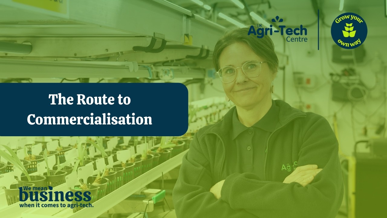 How Innovations Progress from Early Testing to Commercial Use | Growth Week