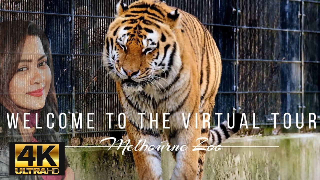 Virtual Tour of  Melbourne Zoo - Australia