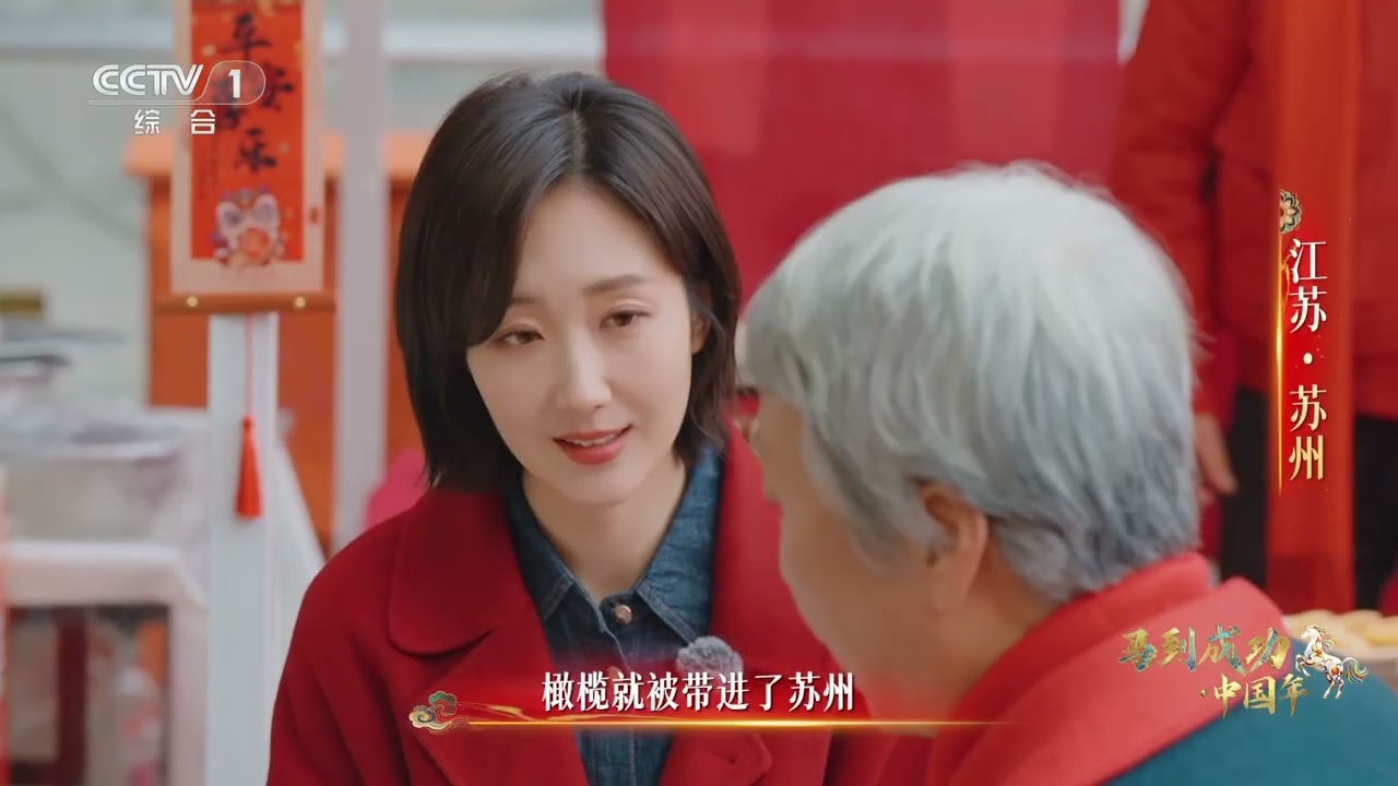 [马到成功·中国年]探寻中国年味 江苏苏州 | CCTV