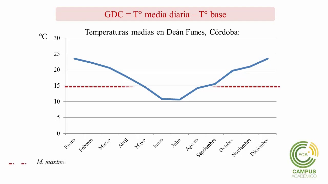 Ecofisiología: Morfogénesis en Gramíneas Forrajeras (Parte 1)