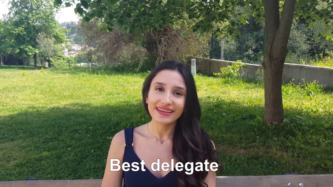 IIMUN 2016 - Dear MUN Delegate Opening Video