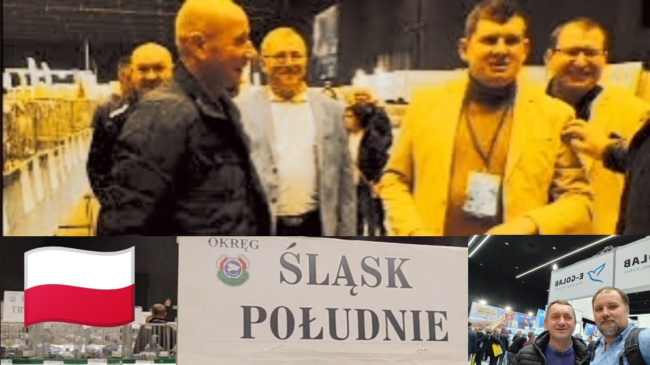 10-12 styczeń 2025 Międzynarodowe Targi Gołębi Pocztowych EXPOGołębie. Gołąbki-Śląsk Południe.