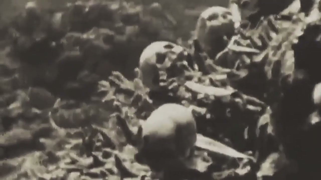 [FREE] $UICIDEBOY$ TYPE BEAT ''EVERY DOG HAS HIS DAY''