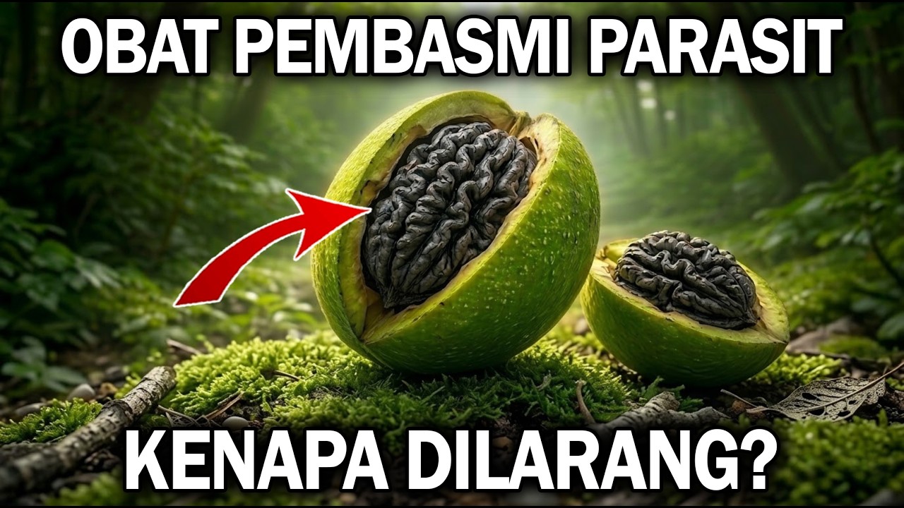 Satu Jenis Kacang yang Bisa Membunuh Parasit dalam Tubuh — Industri Obat Cacing Tak Ingin Anda Tahu