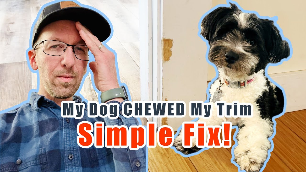 Simple Fix: My Dog Chewed My Trim!