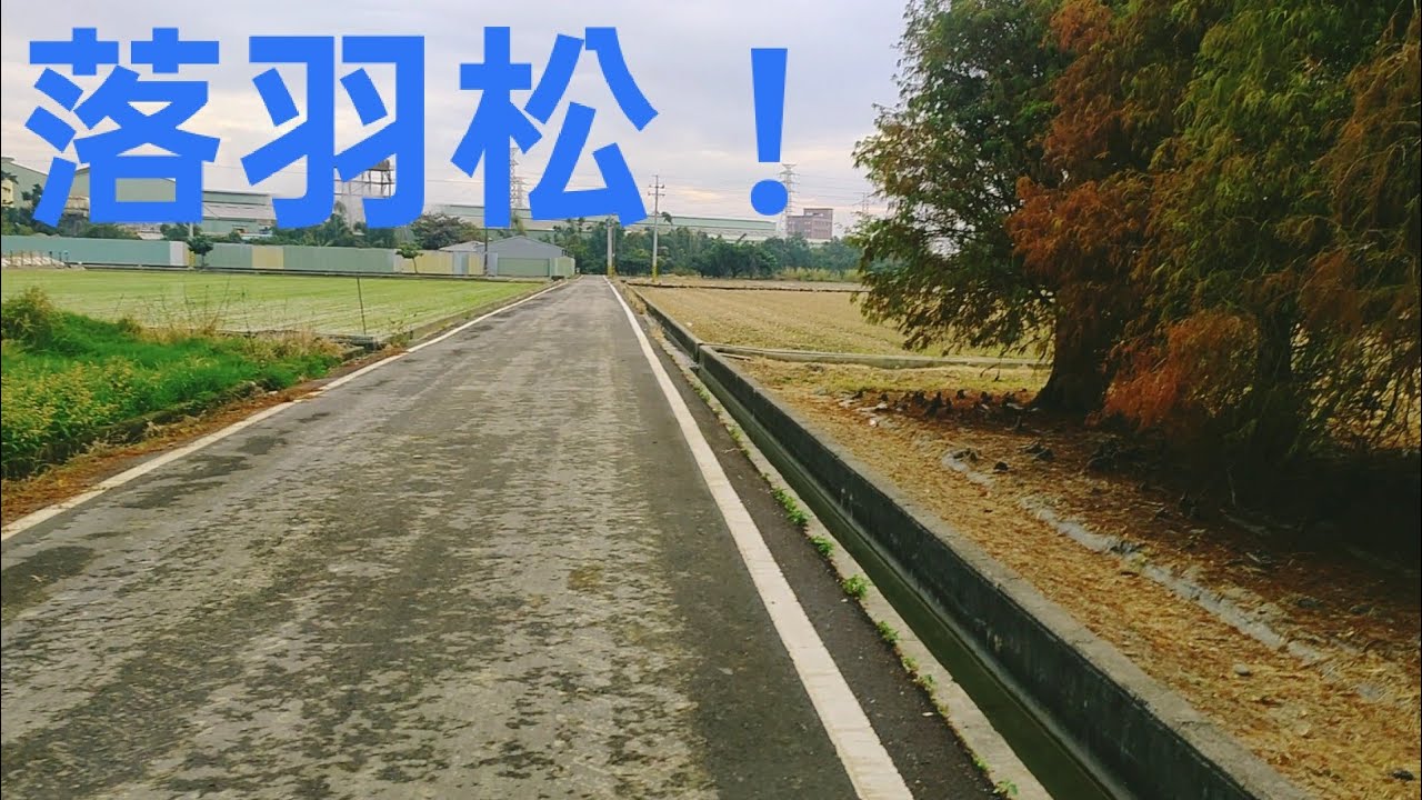 安安來到落羽松 長篇 ep1