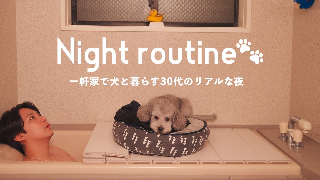 🐶【ナイトルーティン】犬とイチャイチャするだけの幸せな秋夜の過ごし方