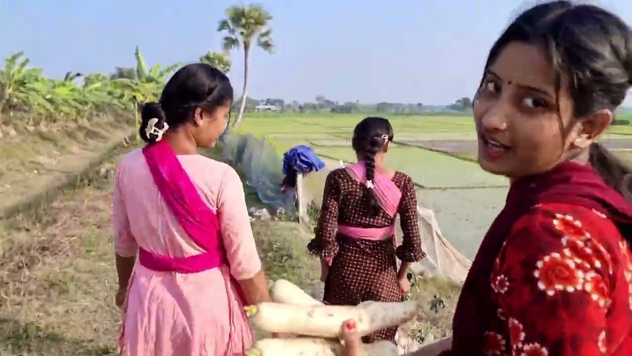 তিন বোন মিলে আজকে কি রান্না করবে।