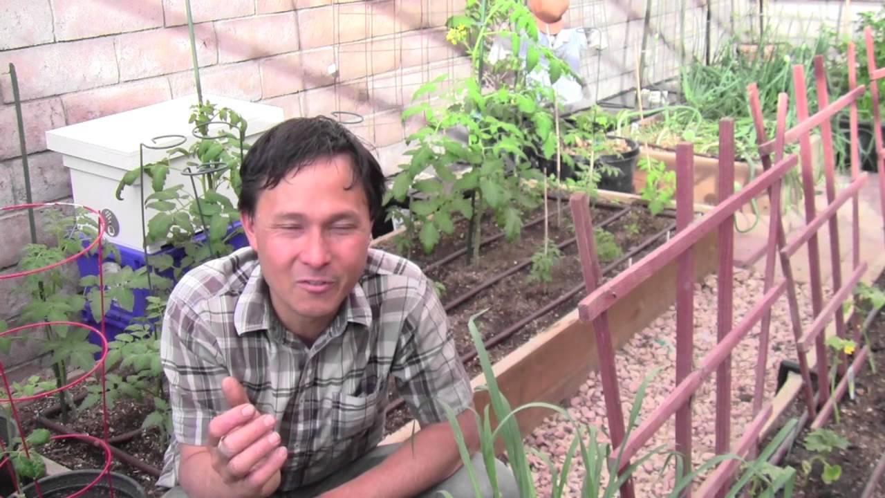 Urban Homestead Grows Fruits, Vegetables & Animals in the Desert