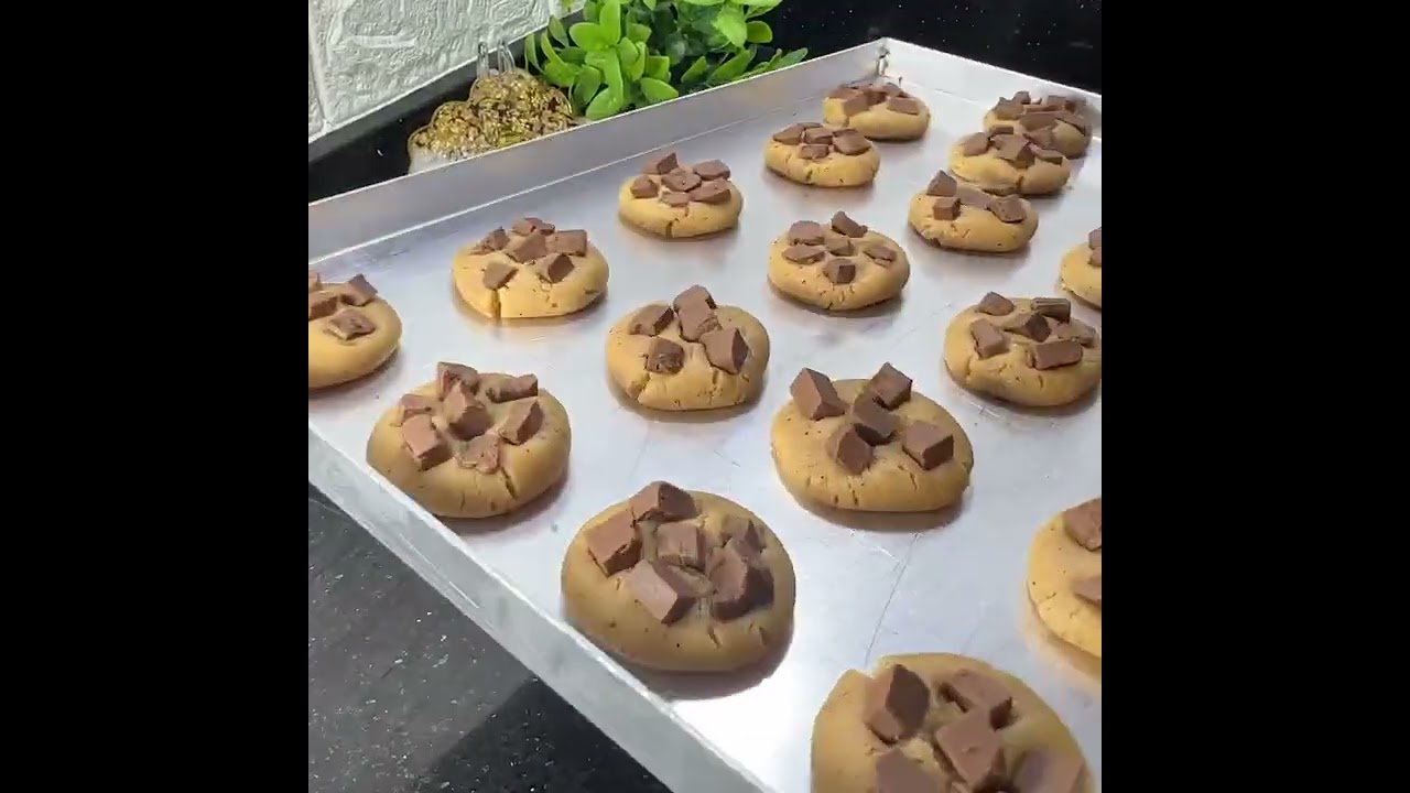 ٤ شباط ٢٠٢٦