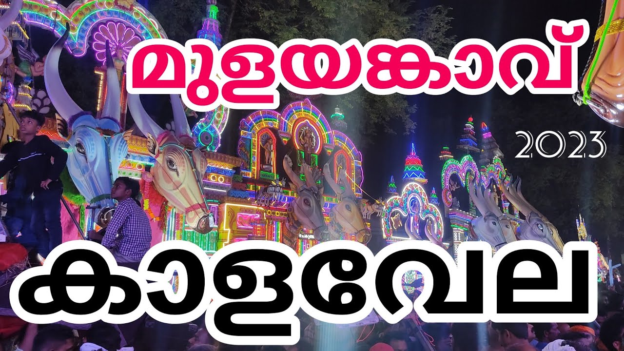 മുളയങ്കാവ് കാളവേല 2023 | Mulayankavu kala vela 2023 | kerala | Temple Festival