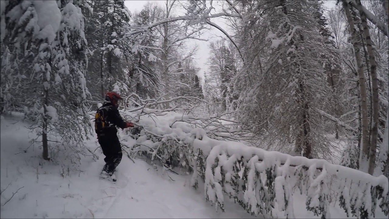 BREAKING TRAIL Pauls sled it toast!