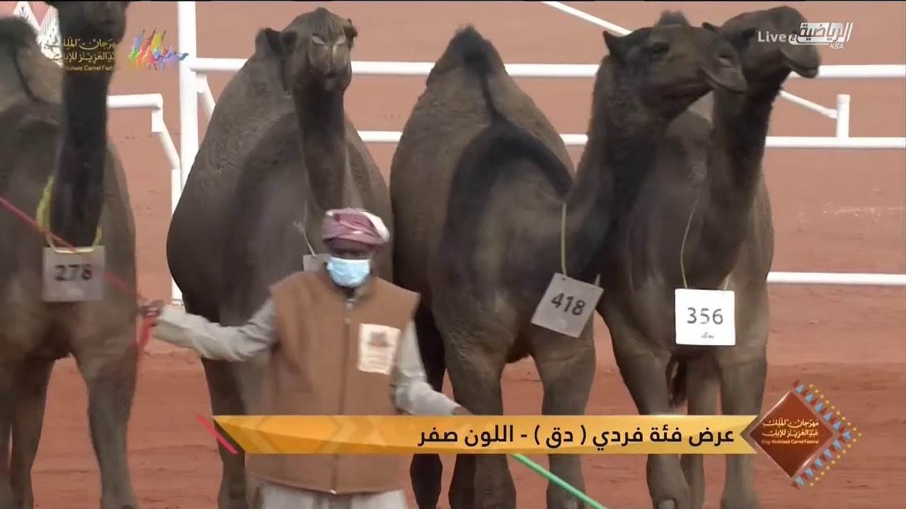 عروض فئة الفردي (دق) لون الصفر يوم الأثنين ٢١ ديسمبر ٢٠٢٠م