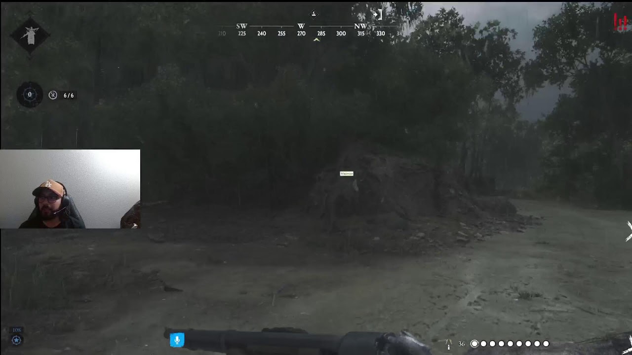 IN THE BAYOU!