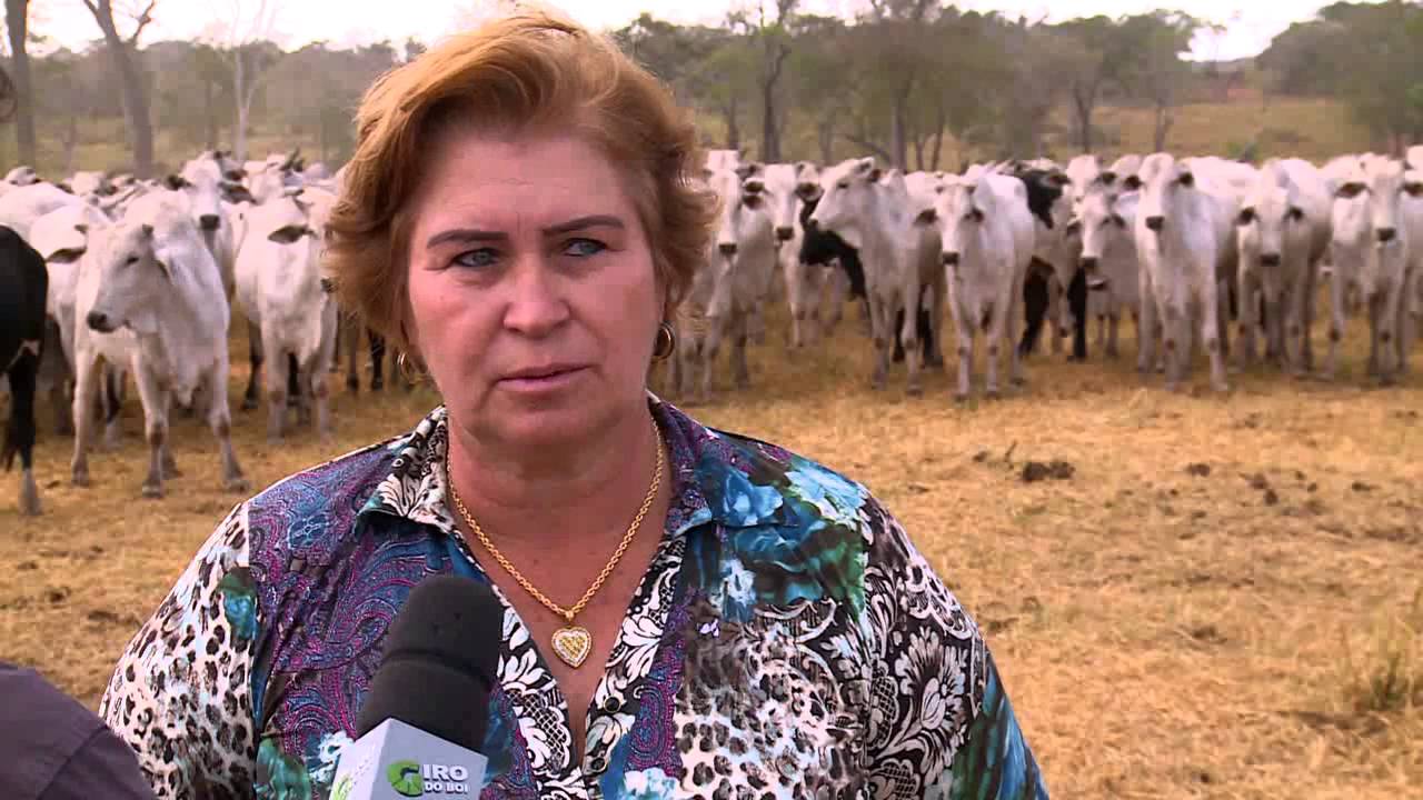 ROTA DO BOI MT:  FAZENDA JANDAIA