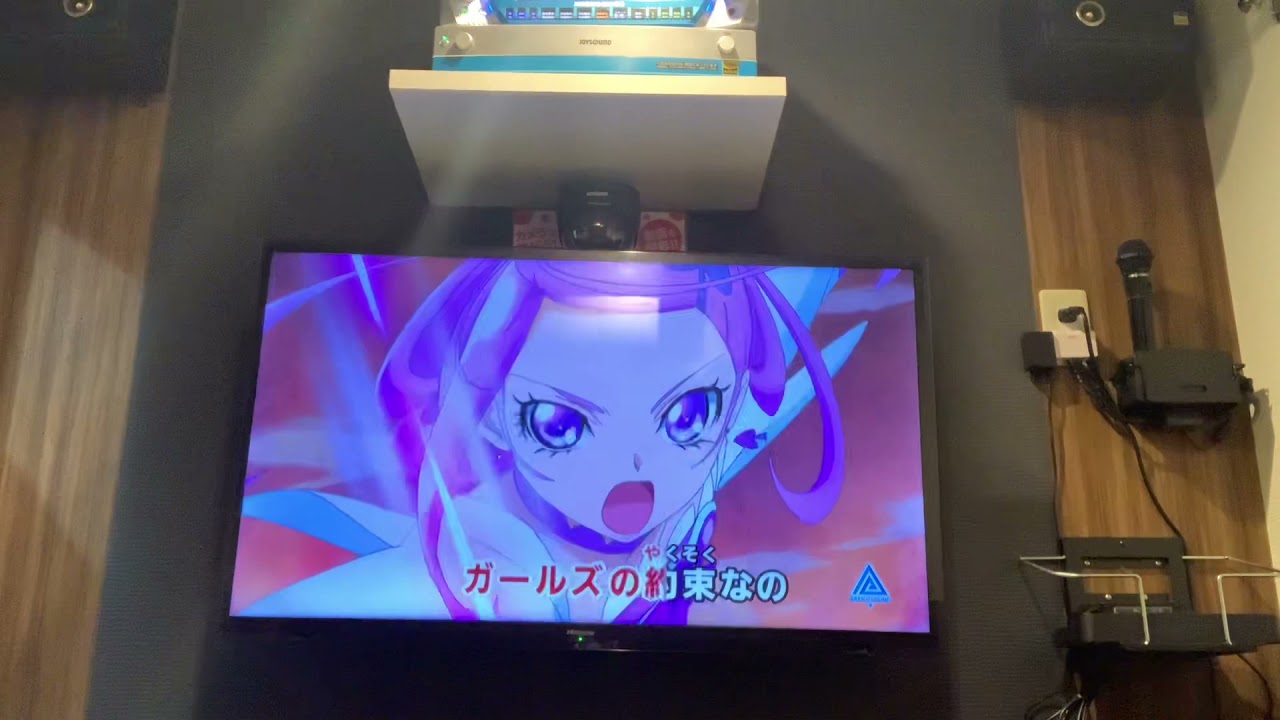 【カラオケ】Happy Go Lucky!ドキドキ!プリキュアを歌ってみた