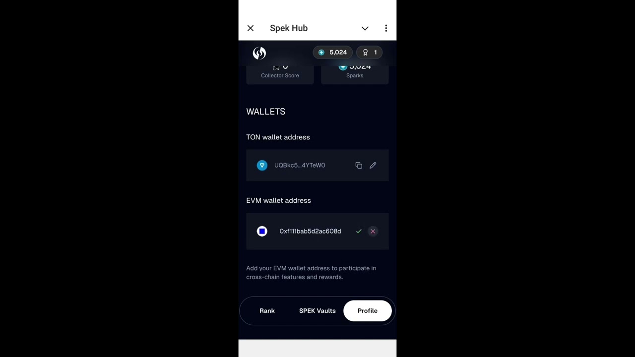 How to Connect Wallet In Spekter Agency (Part 2) Link in Comment Section