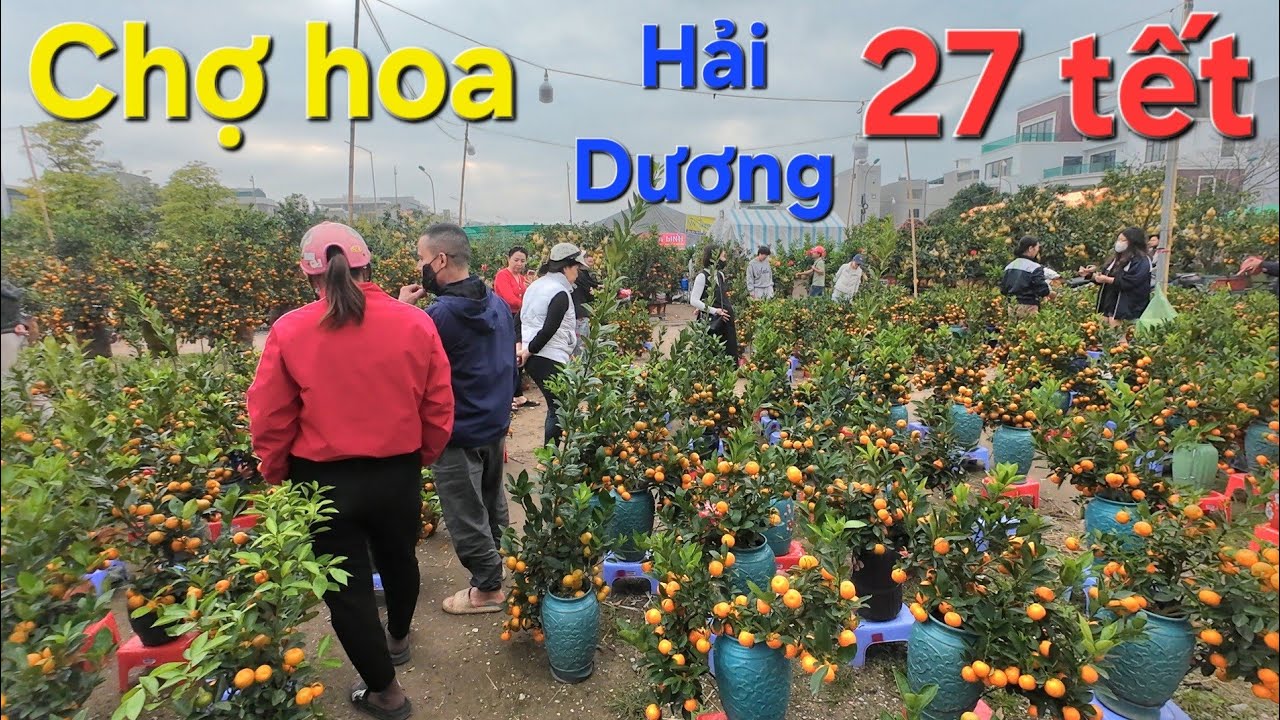 Chợ hoa Xuân ngày 27 Tết tại thành phố Hải Dương