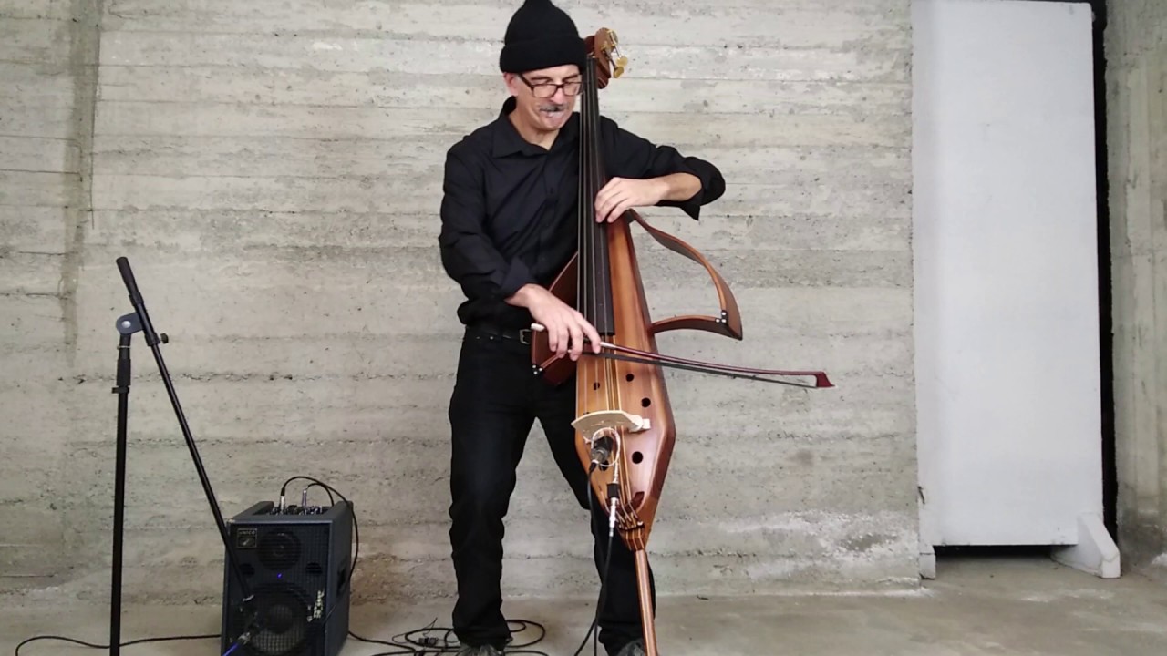 Travel the world with TravelBass: the most portable upright bass ever