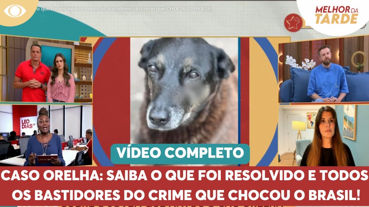 Caso Orelha: saiba o que foi resolvido e todos os bastidores do crime que CHOCOU O BRASIL!