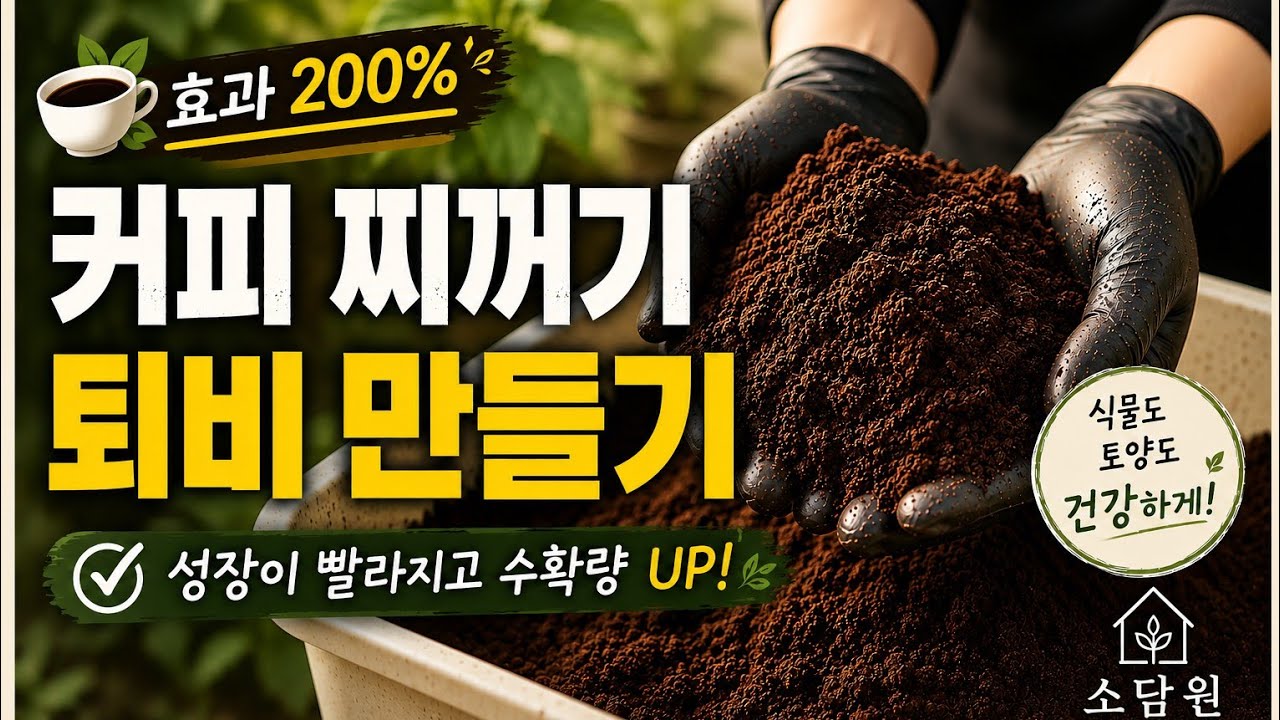 성장이 빨라지고 수확량이 많아지는 커피 찌꺼기의 힘!!  식물을 더 풍성하고 건강하게 키울 수 있는 커피 찌꺼기 퇴비 만들기!