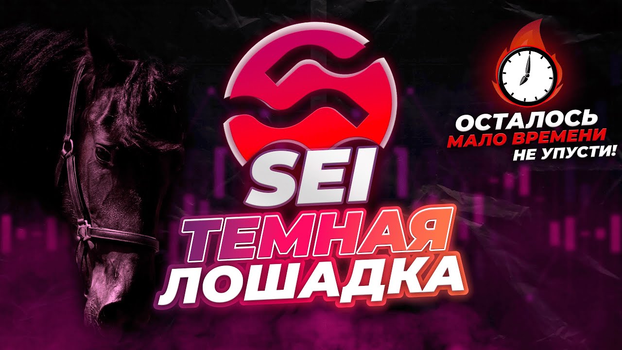 SEI - ТЕМНАЯ ЛОШАДКА В 2025 ГОДУ! SEI-ETF УЖЕ ПОДТВЕРЖДЕН! Криптовалюта SEI прогноз и перспективы.