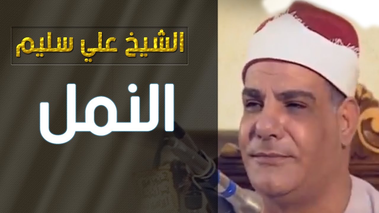 الشيح على سليم-سورة النمل