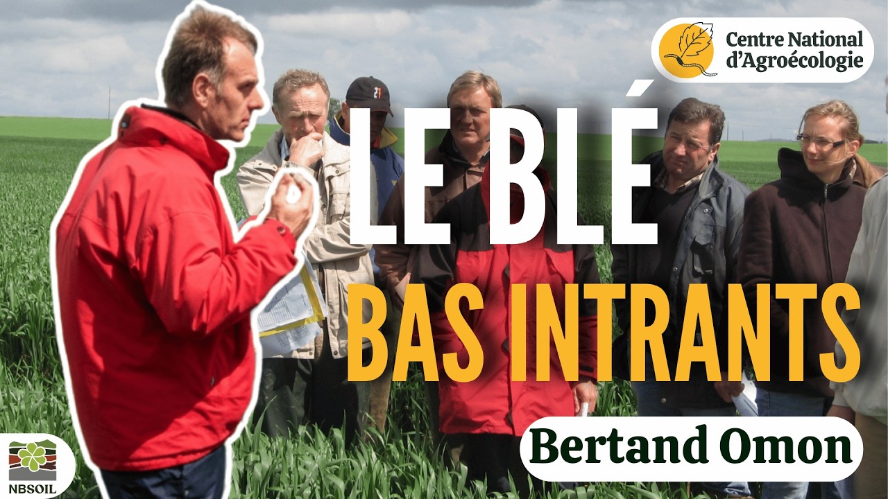 Baisser les charges d'intrants : la gestion 