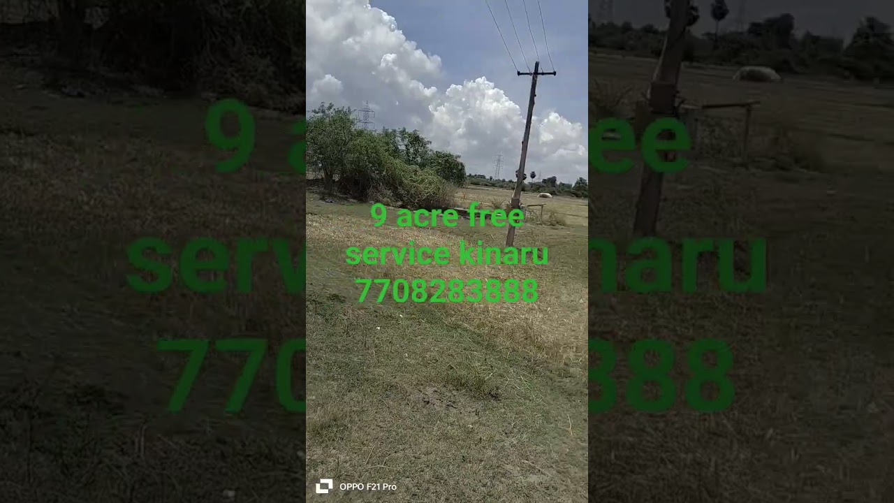 vandavasi to uthiramerur road 9 acre free service kinaru 7708283888 #agri #land 1 acre 20 laksh road