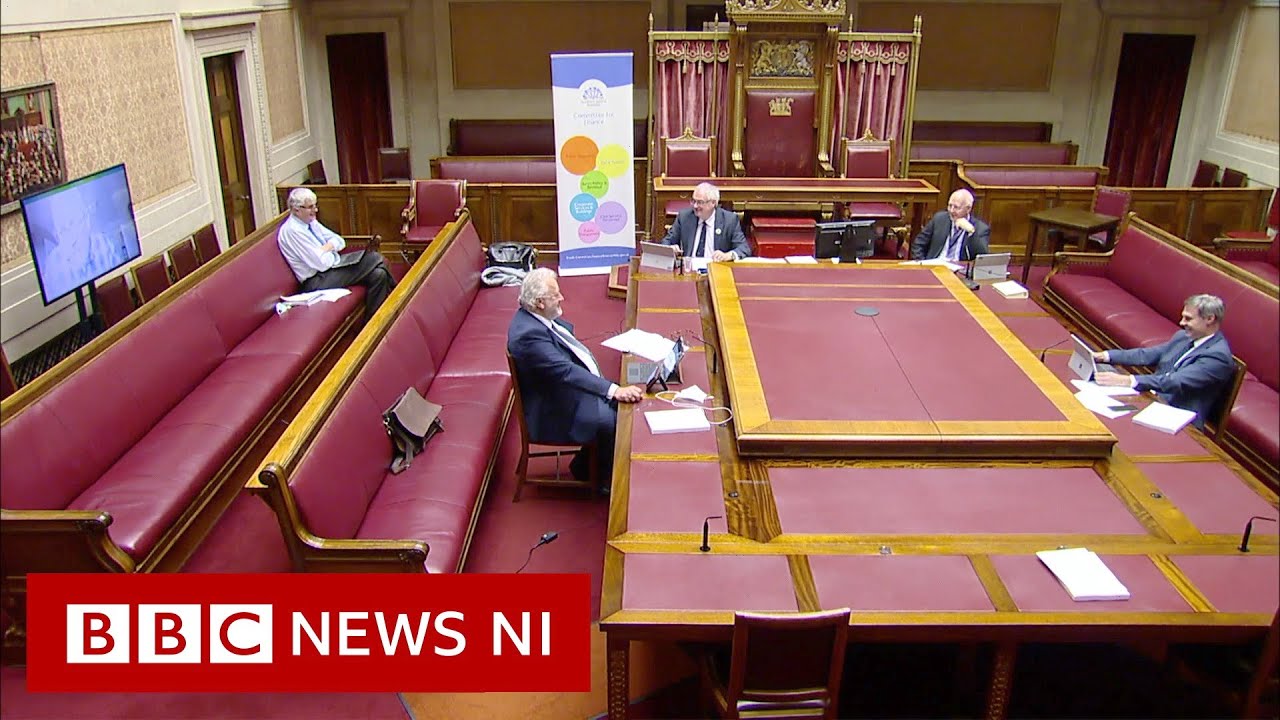 Pigeon interrupts Stormont committee meeting