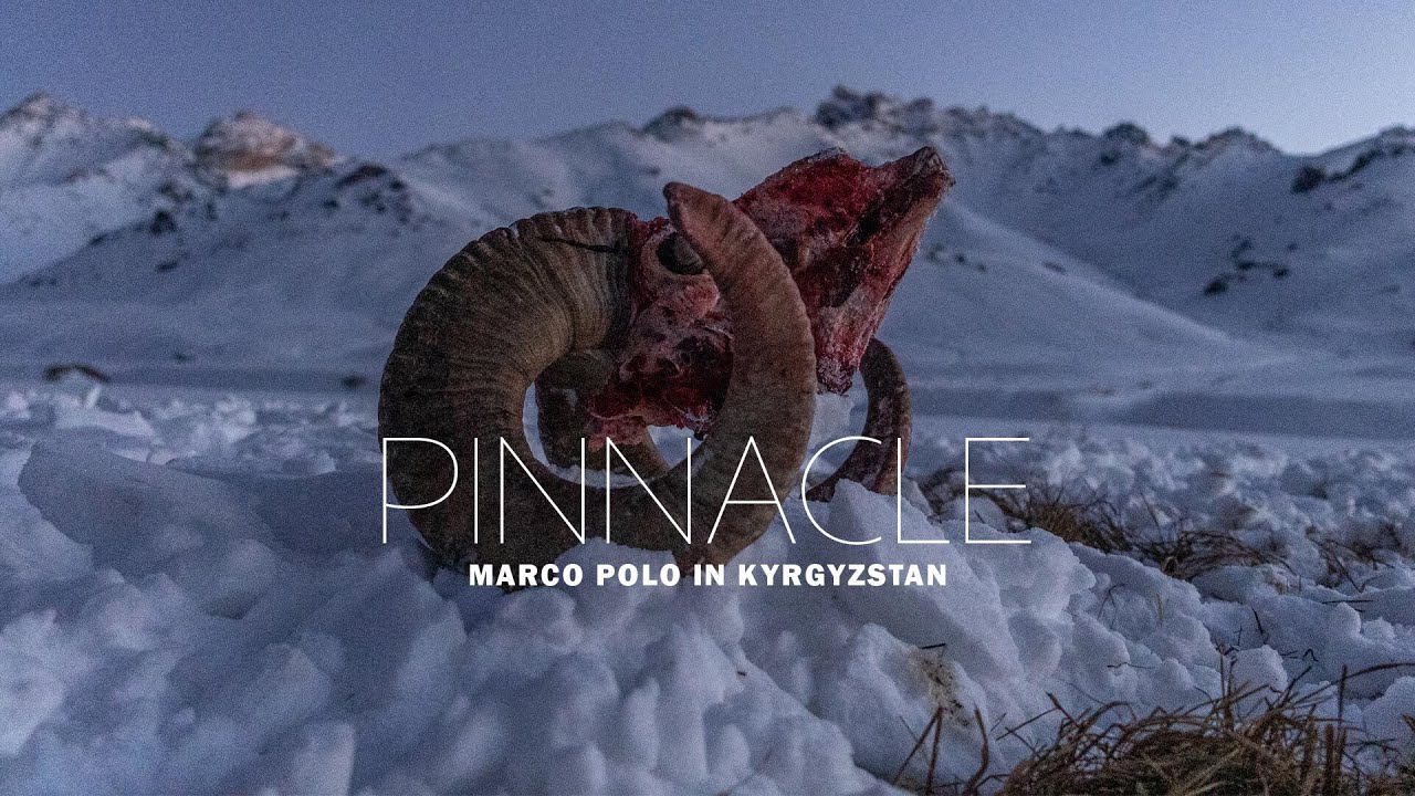 Pinnacle: Marco Polo in Kyrgyzstan