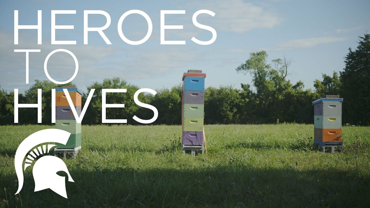 Heroes to Hives | Michigan State University