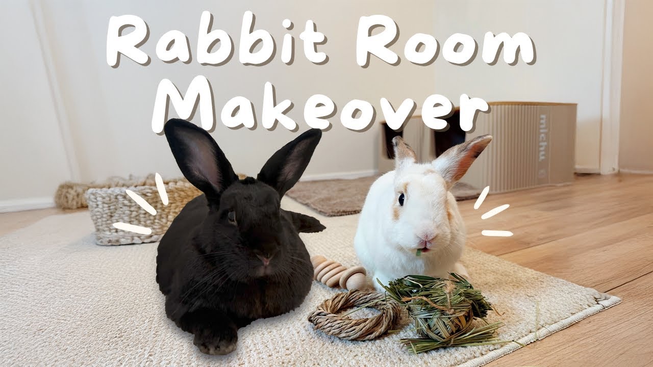 Bunny Room Makeover! 🐰 + GIVEAWAY