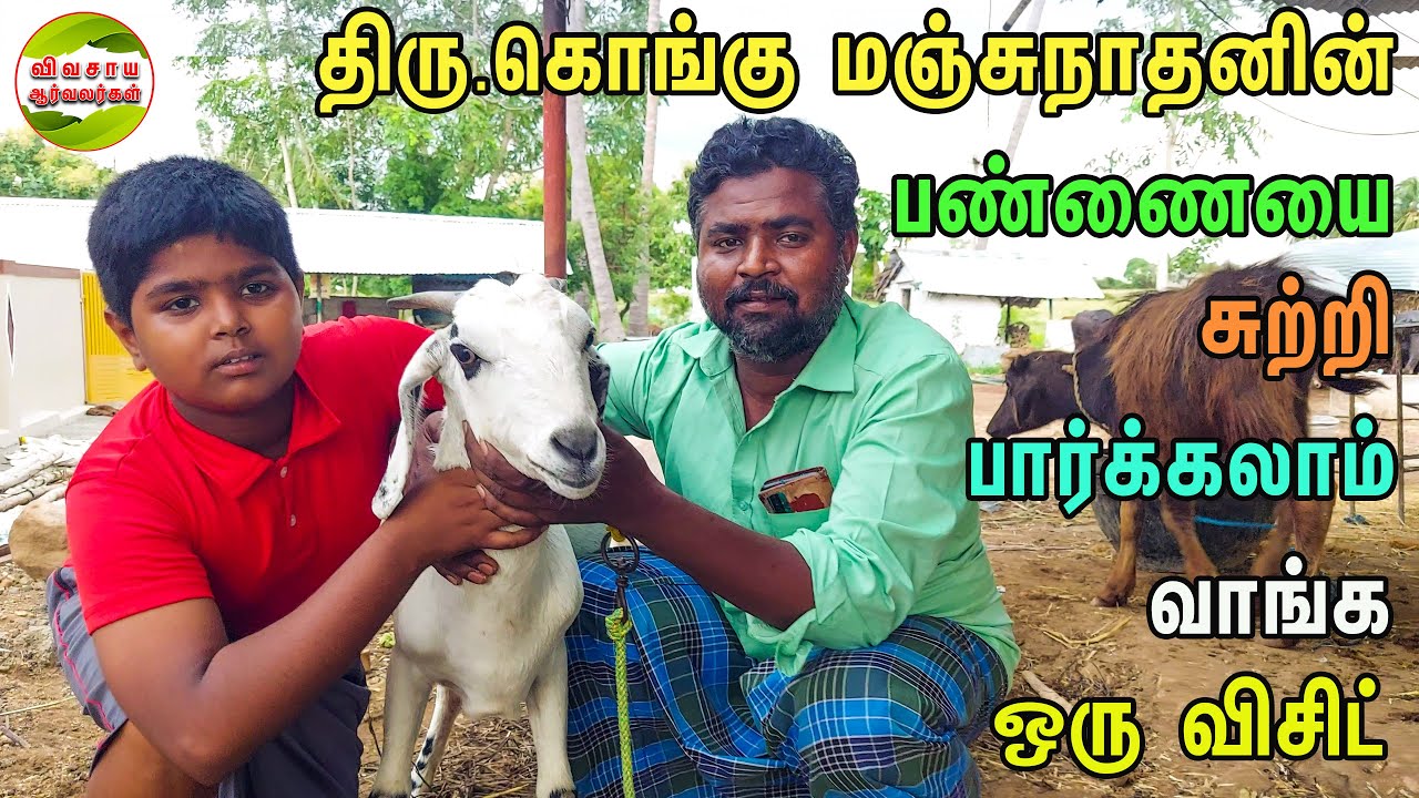 கால்நடை வளர்ப்பின் முக்கியத்துவம்|திரு.கொங்கு மஞ்சுநாதனின் பண்ணை #vivasayaarvalargal #manjunathan