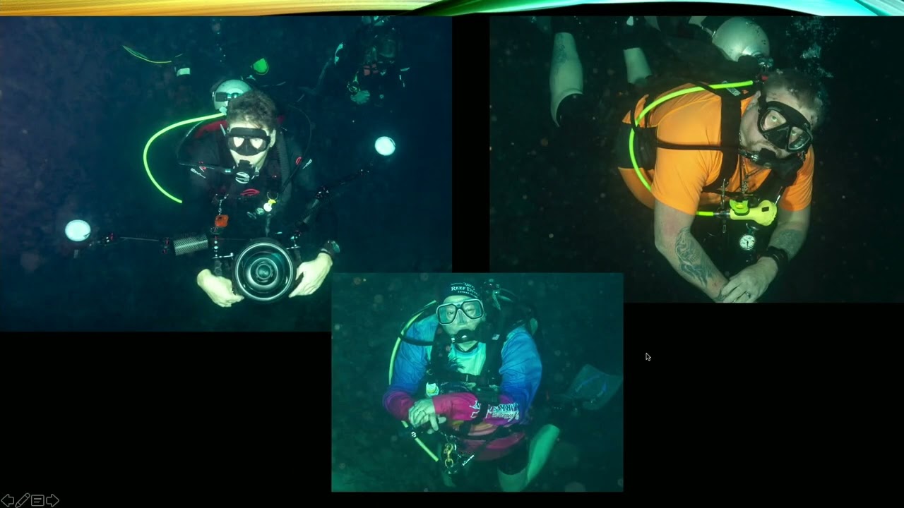CSM May 2025 - Indonesia (Manado, Banka, Lembeh) trip report
