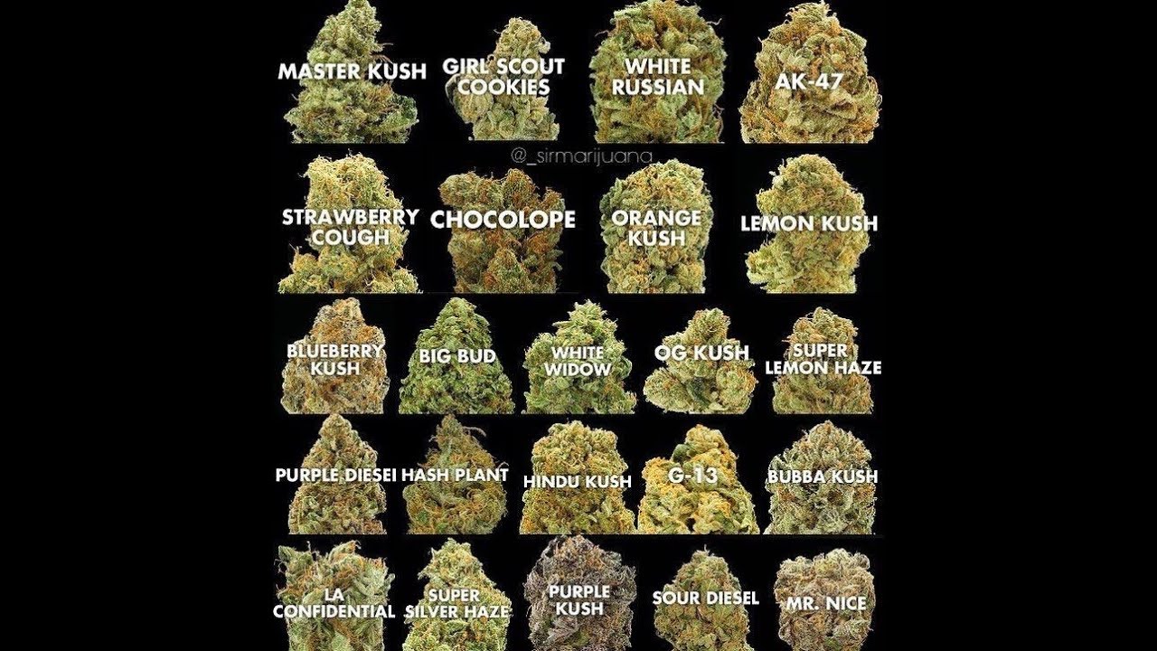best weed 2018