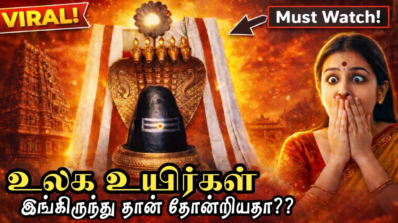 அனைத்து தோஷத்தை போக்கும் கும்பேஸ்வரர் | kumbeswaran Kovil #kumbakonam 
