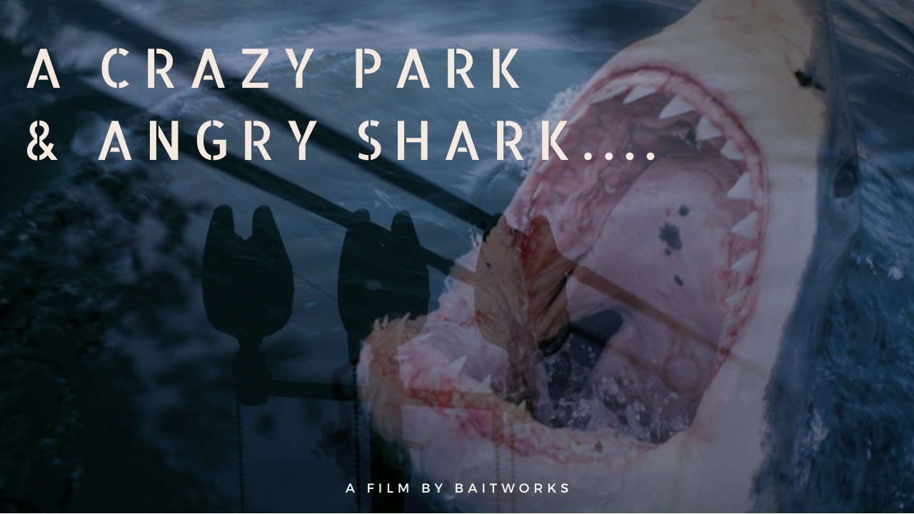 ***CARP & SHARKS - Carp Fishing***