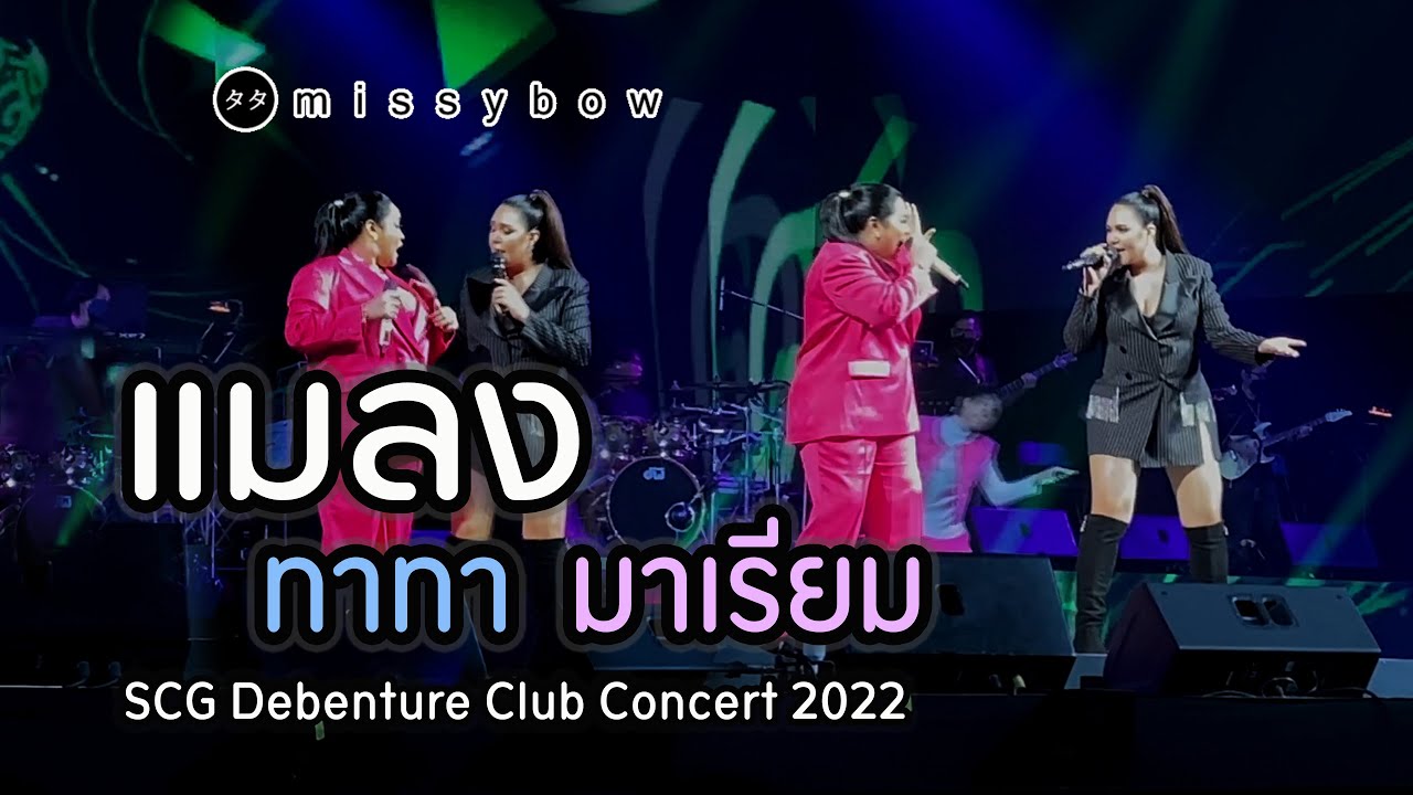 TATA Young - แมลง | ทาทา มาเรียม B5 | SCG Debenture Club Concert มหัศจรรย์ รักไม่รู้จบ | ปี 2565