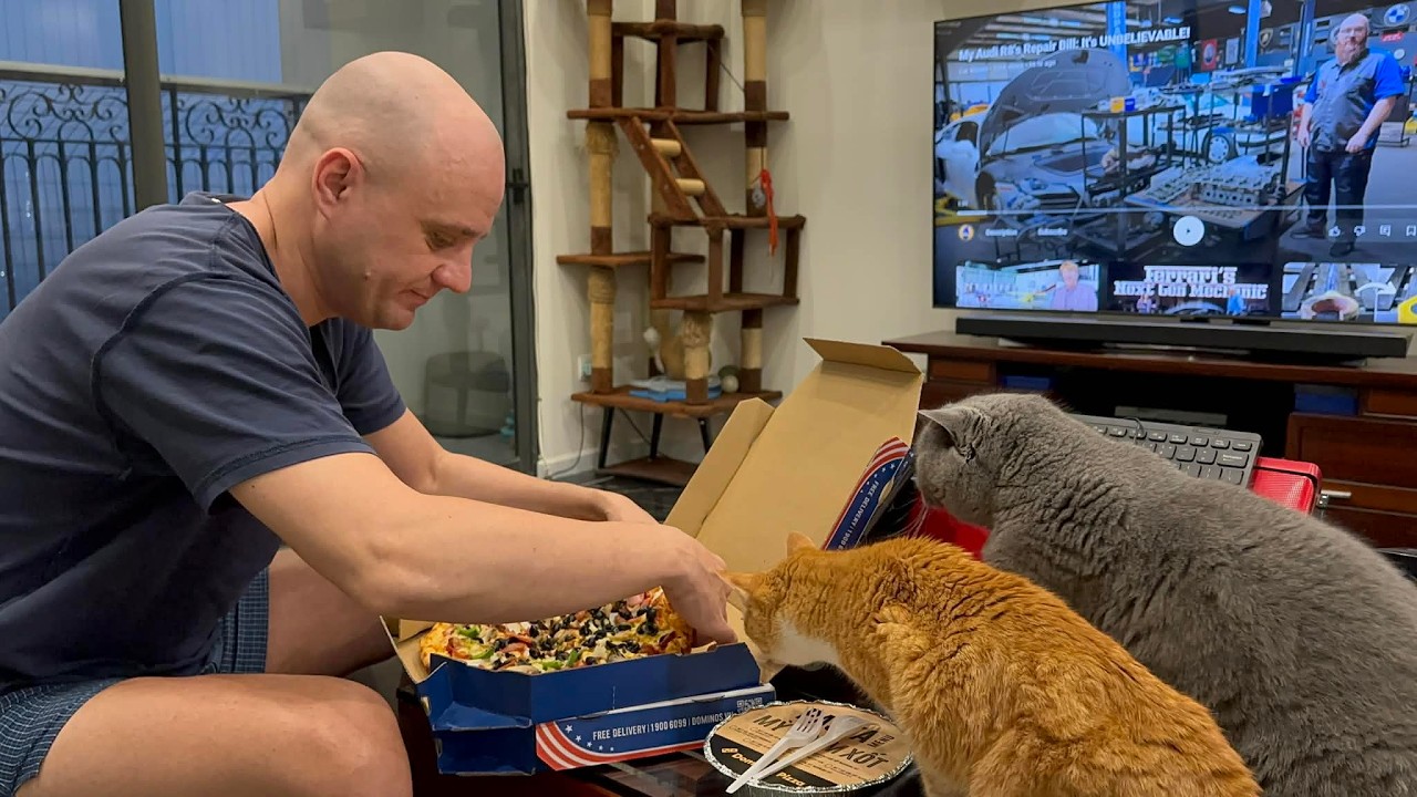 Cats crave for my pizza. 🐈 🍕 😂 #cat #cats #hungry #pizza #food #yummy #delicious #slice  #fun #funny