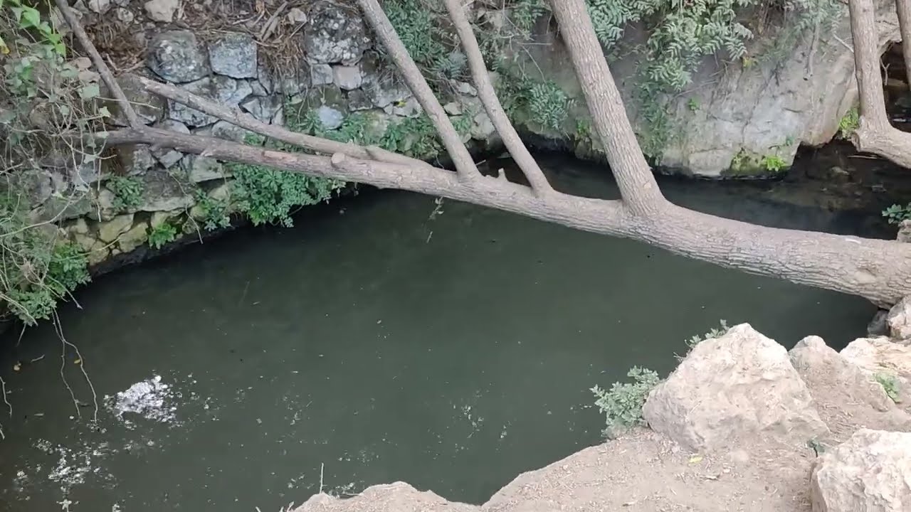 עין האם ועין עוז, ליד המושב מטע, צילום: ערן גל-אור