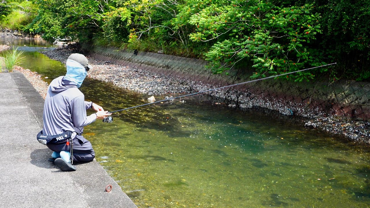【三重へ釣り旅】超綺麗な川と河口で何が釣れる？