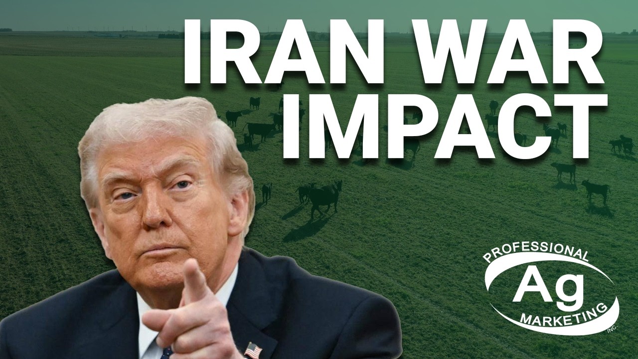 Iran War Impact | Cattle Talk March 5th, 2026