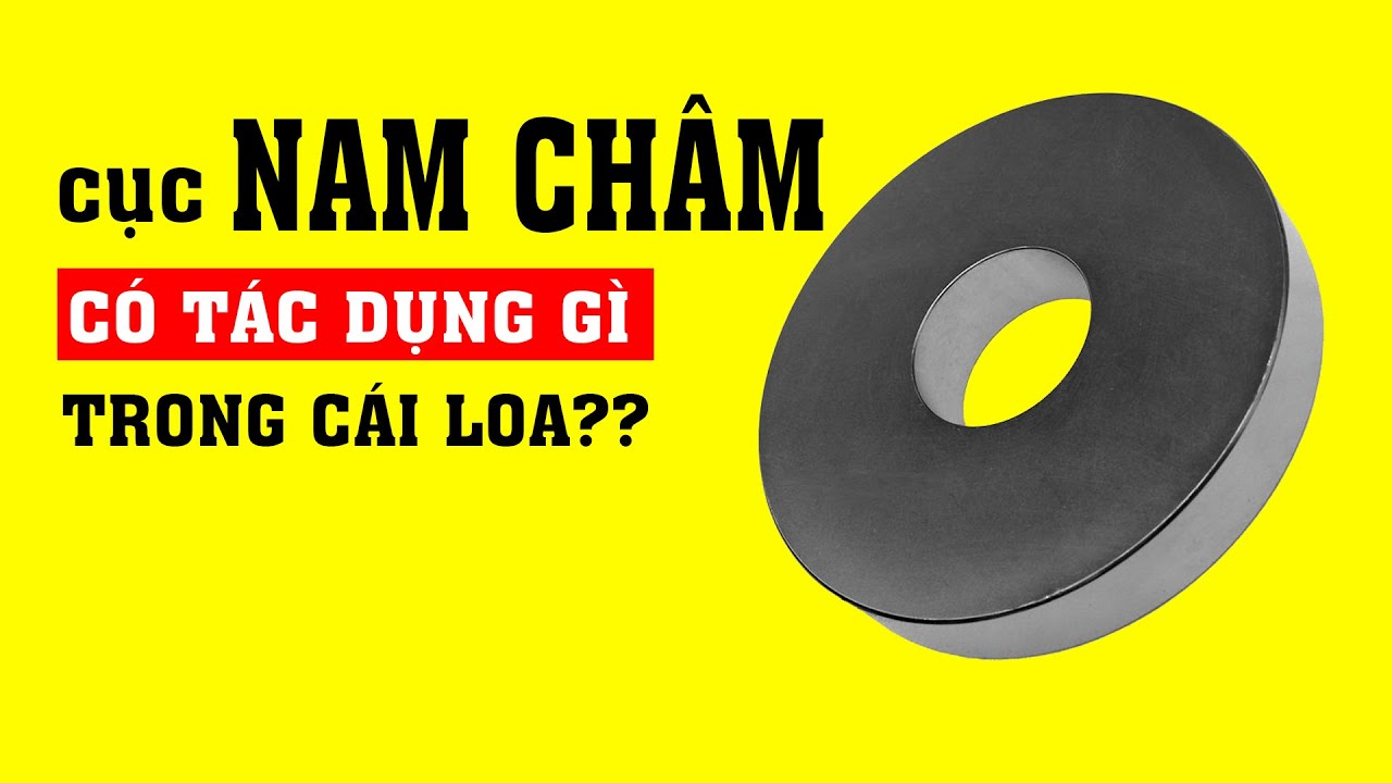 Tại sao Loa đ&agrave;i v&agrave; Micro thu &acirc;m cần c&oacute; cục Nam Ch&acirc;m?
