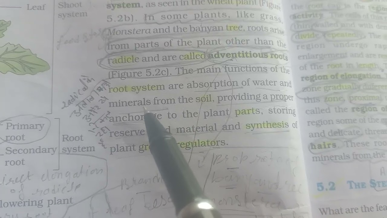 New 11th class video science physics