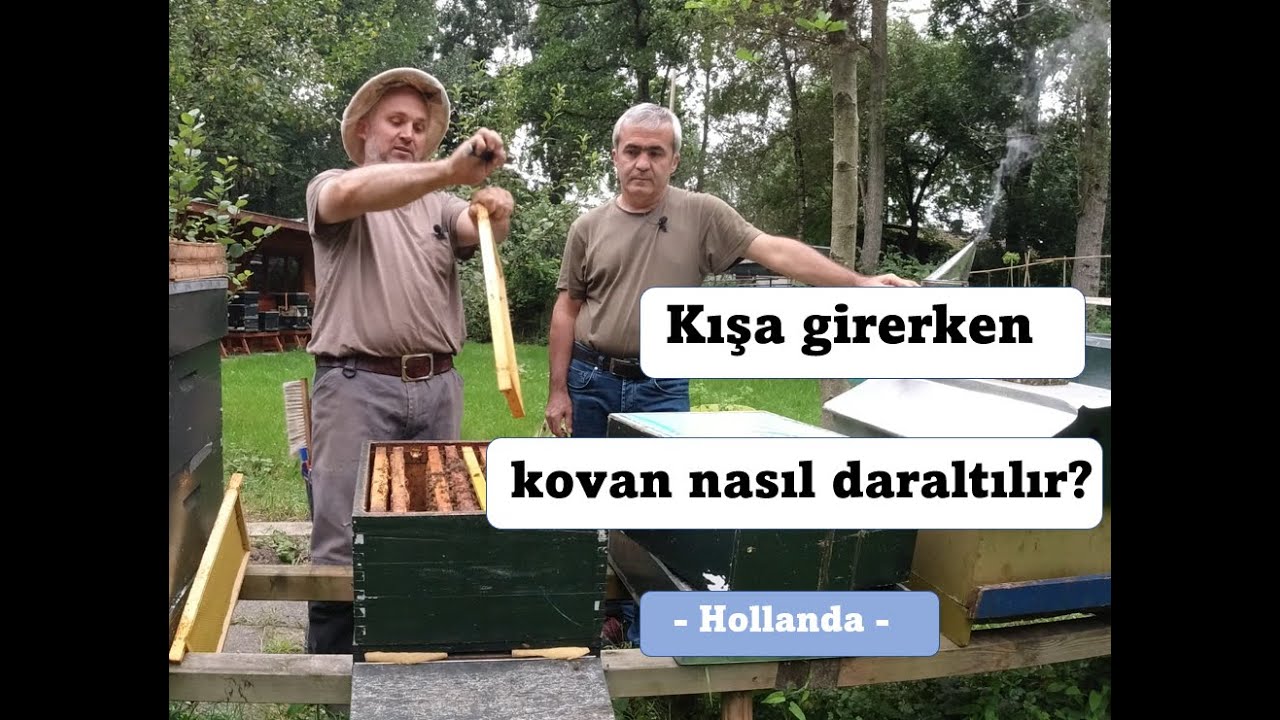 Kışa girerken kovan nasıl daraltılır?